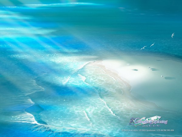 Anime picture 1600x1200 with kagaya sunlight beach 3d animal water sea bird (birds)