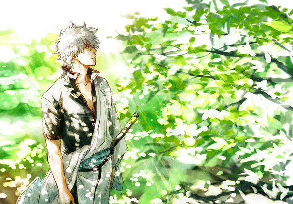 Anime picture 1151x800 with gintama sunrise (studio) sakata gintoki acaco single short hair looking away white hair traditional clothes japanese clothes profile sunlight messy hair boy weapon plant (plants) sword tree (trees) katana