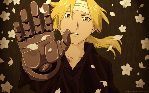 Anime picture 2560x1600 with fullmetal alchemist studio bones edward elric cilou (artist) highres blonde hair wide image yellow eyes tail mechanical parts boy flower (flowers) petals bandage (bandages) hands