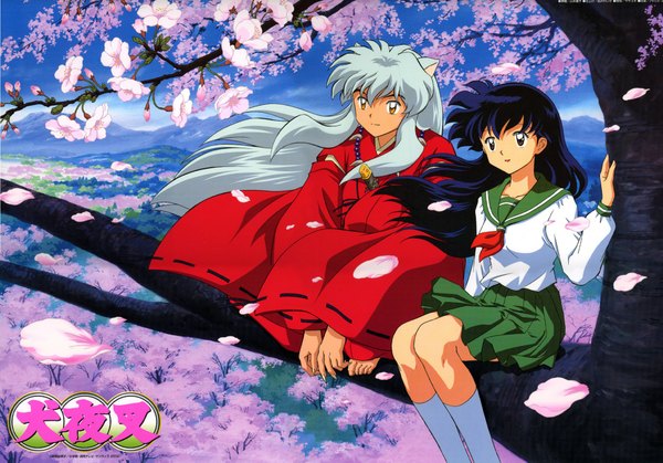 Anime picture 2000x1397 with inuyasha inuyasha (character) higurashi kagome highres animal ears white hair japanese clothes barefoot couple cherry blossoms girl boy uniform plant (plants) school uniform petals tree (trees)
