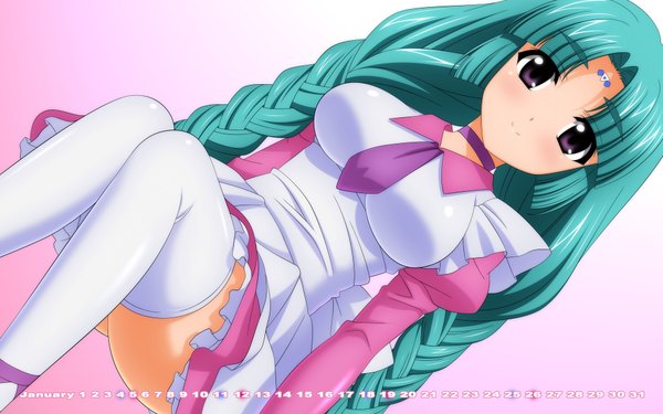 Anime picture 1920x1200 with lost universe canal volphied wave ride single long hair looking at viewer blush highres smile wide image purple eyes braid (braids) green hair calendar 2014 girl thighhighs dress white thighhighs calendar