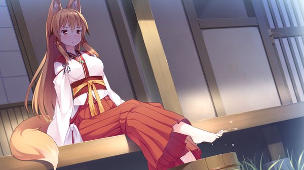 Anime picture 1280x720 with tenkiame kon (tenkiame) haik single long hair blush red eyes brown hair wide image sitting animal ears payot looking away game cg full body tail traditional clothes japanese clothes animal tail barefoot