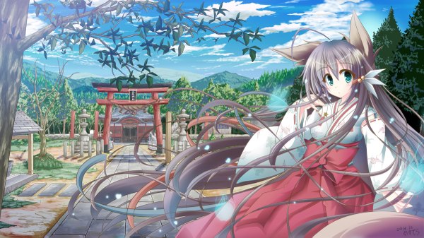 Anime picture 1200x675 with original kasutera (suzakudou) single blue eyes wide image animal ears sky cloud (clouds) very long hair traditional clothes grey hair mountain miko girl plant (plants) tree (trees) torii