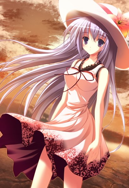 Anime picture 796x1157 with original fuyuki rito single long hair tall image looking at viewer purple eyes silver hair cloud (clouds) girl dress hat