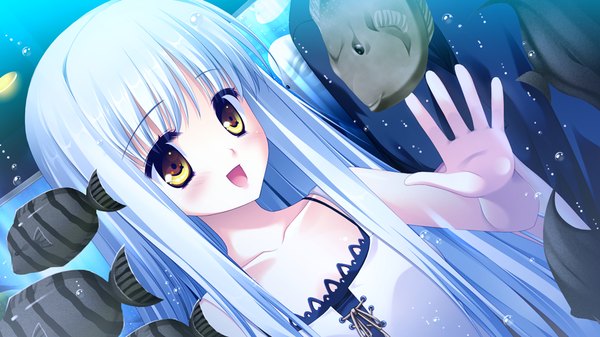 Anime picture 1024x576 with lovely quest sakuraba minaho long hair blush open mouth wide image yellow eyes game cg white hair girl sundress fish (fishes)