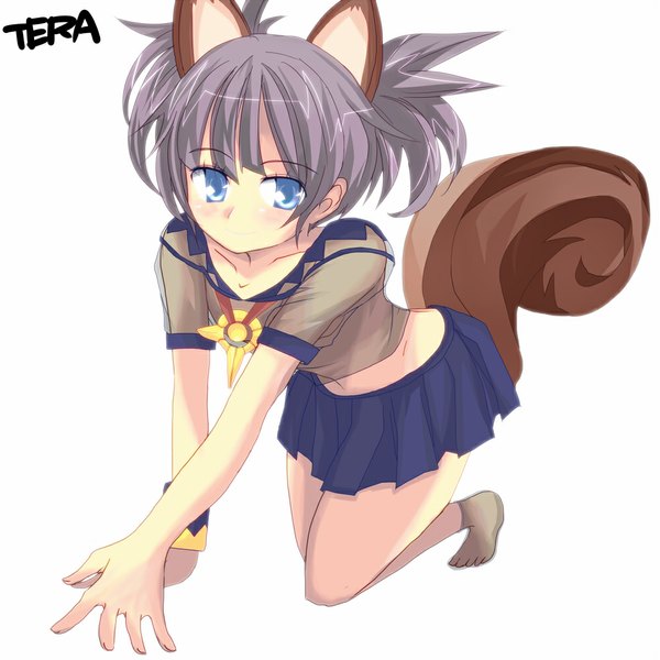 Anime picture 1000x1000 with tera online hamuni123 single blush short hair blue eyes simple background white background animal ears animal tail grey hair girl