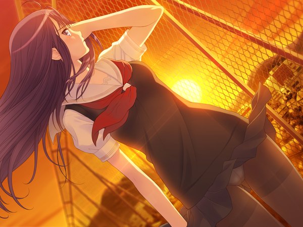 Anime picture 1024x768 with fault!! kamiwazumi maya tony taka long hair purple eyes game cg purple hair evening sunset skirt lift girl uniform school uniform pantyhose