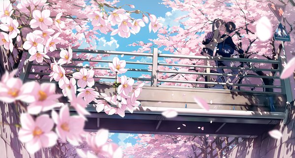 Anime picture 3983x2149 with 5 nenme no houkago kantoku long hair blush highres short hair brown hair wide image absurdres outdoors ponytail sunlight scan shadow couple cherry blossoms almost kiss cropped girl boy