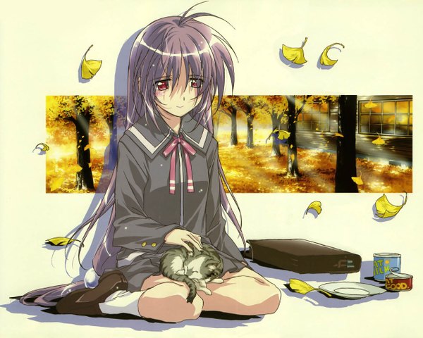 Anime picture 1280x1024 with iriya no sora ufo no natsu toei animation iriya kana soft beauty cat ginkgo