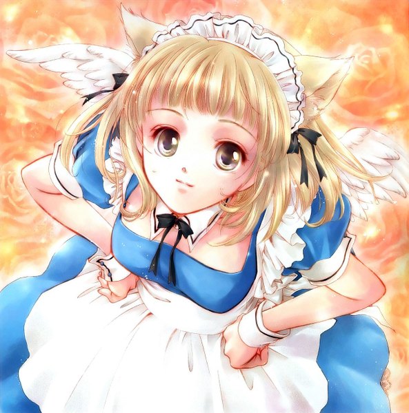Anime picture 1217x1232 with original minakami kaori single tall image looking at viewer short hair blonde hair brown eyes animal ears from above maid angel wings hands on hips orange background girl rose (roses) detached collar apron wrist cuffs