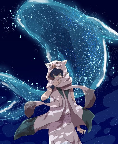 Anime picture 1034x1262 with bakemono no ko ichirouhiko miu (pixiv6604832) single tall image looking at viewer fringe short hair black hair standing green eyes night teeth fang (fangs) night sky covering covering face boy animal scarf