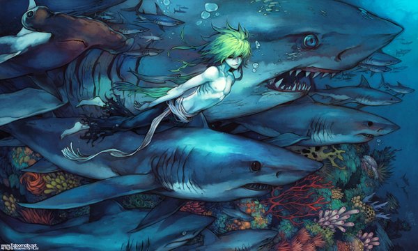 Anime picture 2500x1500 with original yilee highres wide image green hair blue background underwater fish (fishes) shark
