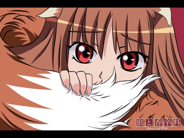 Anime picture 1600x1200 with spice and wolf horo tagme