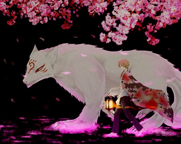 Anime picture 1280x1024 with natsume yuujinchou brains base (studio) natsume takashi madara (nyanko-sensei) gonzaburou short hair blonde hair yellow eyes eyes closed glowing walking clothes on shoulders boy animal shirt petals pants branch lamp