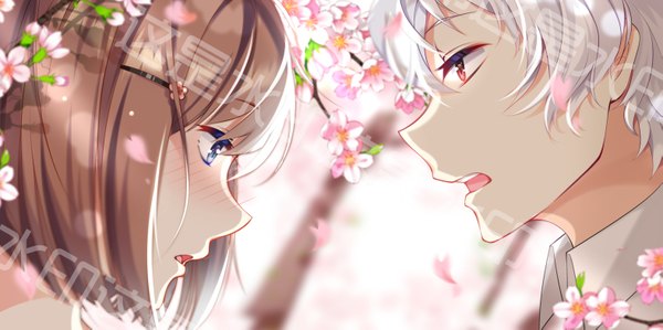 Anime picture 3149x1574 with original hate ani hikae blush highres short hair open mouth blue eyes red eyes brown hair wide image white hair profile couple cherry blossoms close-up girl boy