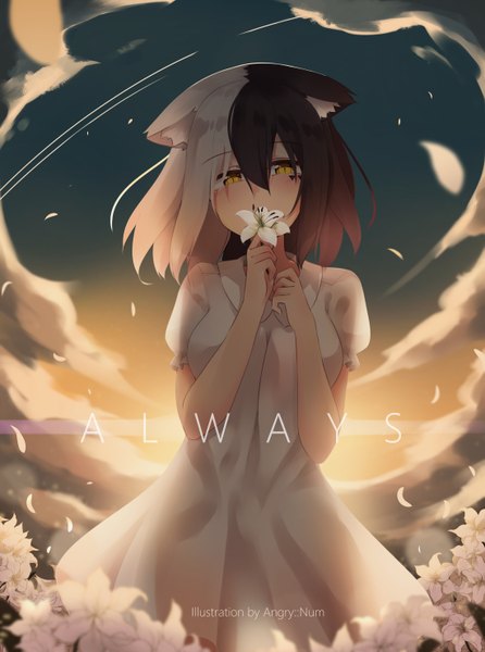 Anime picture 1100x1478 with original angry num single long hair tall image looking at viewer fringe breasts black hair hair between eyes holding signed animal ears yellow eyes cloud (clouds) white hair multicolored hair wind sunlight cat ears