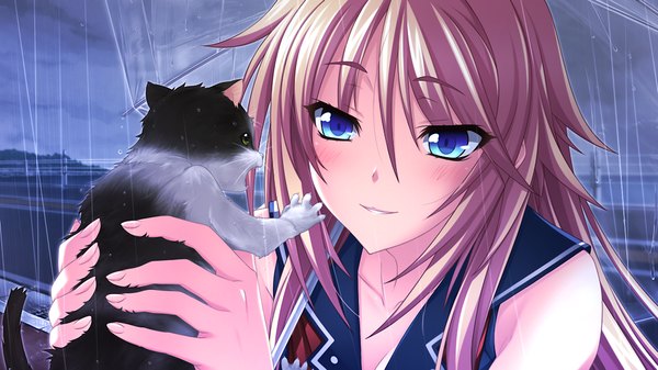 Anime picture 1000x563 with tsujidou-san no junai road ai tsujidou long hair blue eyes blonde hair wide image game cg rain girl serafuku umbrella cat