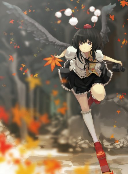 Anime picture 740x1000 with touhou shameimaru aya nauribon tall image looking at viewer short hair black hair brown eyes girl dress hat wings socks frills white socks fan pom pom (clothes) camera hauchiwa