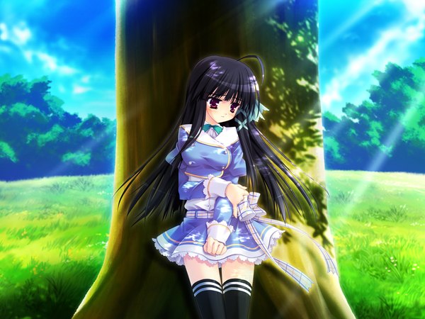 Anime picture 1200x900 with can fes! kagesaka homare black hair red eyes game cg girl thighhighs black thighhighs plant (plants) tree (trees)
