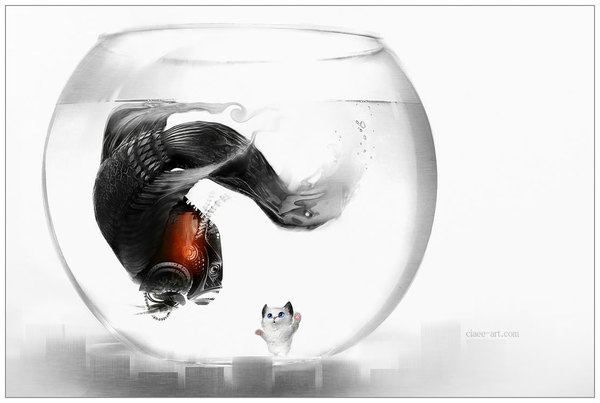 Anime picture 1115x750 with original ciaee (artist) simple background white background no people animal water cat fish (fishes) aquarium