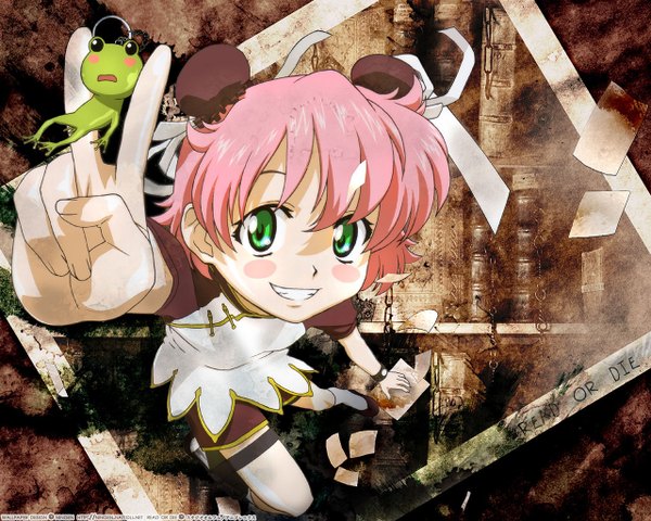 Anime picture 1280x1024 with read or die j.c. staff anita king frog tagme