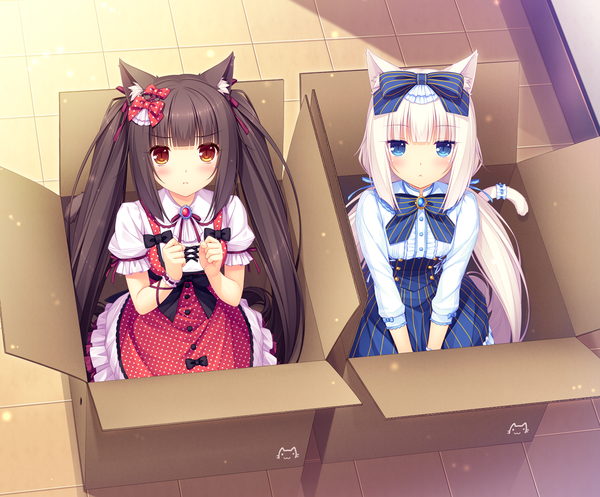 Anime picture 1480x1226 with neko paradise neko works (studio) vanilla (nekopara) chocola (nekopara) sayori long hair looking at viewer blush fringe blue eyes black hair twintails multiple girls brown eyes animal ears white hair tail animal tail cat ears cat girl