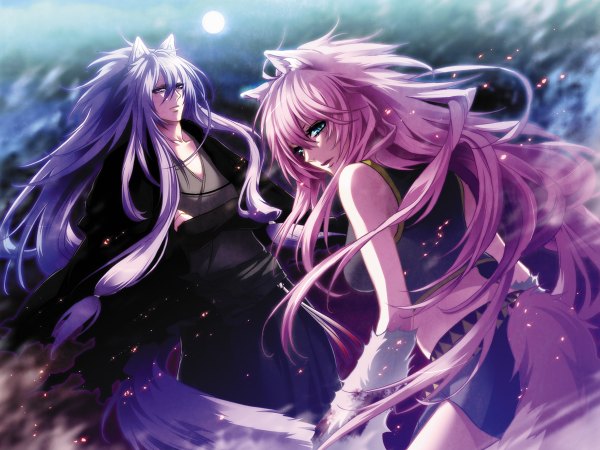 Anime picture 1200x900 with vocaloid megurine luka kamui gakupo double click long hair blue eyes bare shoulders animal ears pink hair purple hair tail animal tail looking back from behind night midriff night sky crossed arms girl boy
