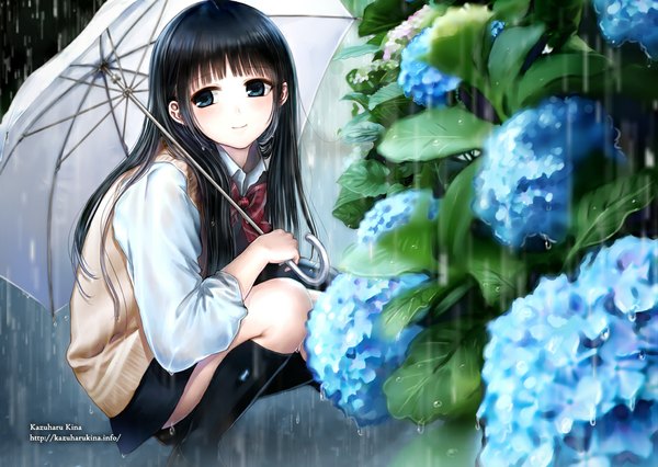 Anime picture 1125x800 with original kazuharu kina single long hair looking at viewer blush blue eyes black hair smile rain transparent umbrella girl skirt uniform flower (flowers) school uniform socks black socks umbrella hydrangea