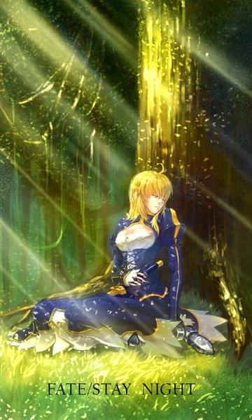 Anime picture 2000x3333 with fate (series) fate/stay night type-moon artoria pendragon (all) saber xleontan single long hair tall image highres blonde hair sitting ahoge eyes closed sunlight inscription copyright name sleeping sunbeam girl