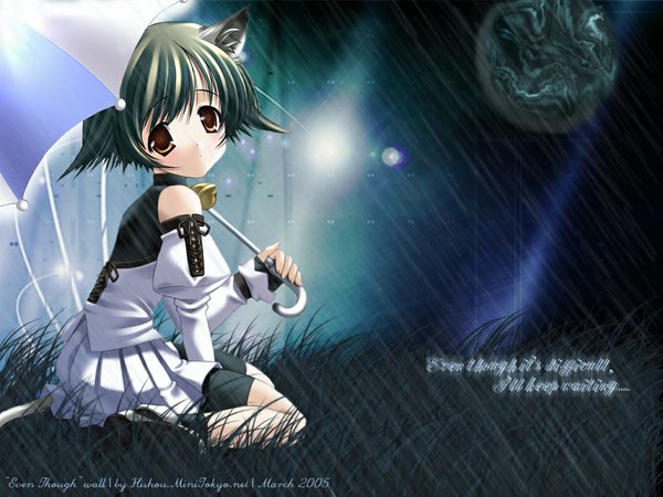 Anime picture 1024x768 with original hagure keg hishou (minitokyo) single looking at viewer short hair black hair sitting brown eyes signed animal ears tail long sleeves animal tail cat ears night cat girl cat tail text wariza