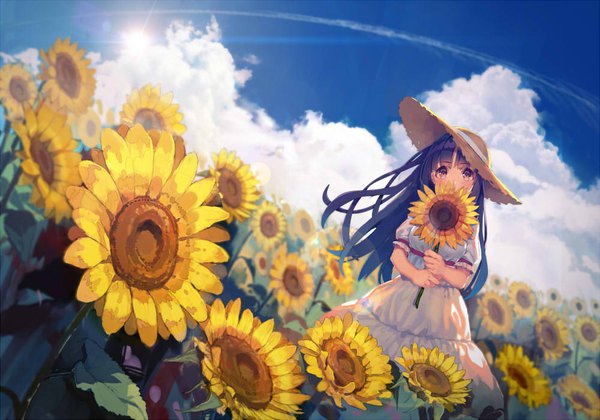 Anime picture 1000x701 with original yasumo (kuusouorbital) single long hair looking at viewer blush fringe purple eyes sky purple hair cloud (clouds) blunt bangs covered mouth summer condensation trail girl dress flower (flowers) ribbon (ribbons) hat