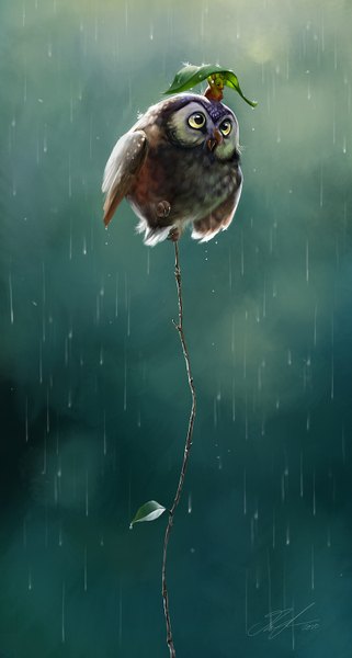 Anime picture 857x1600 with original ailah (artist) tall image open mouth signed wet rain covering animal bird (birds) leaf (leaves) water drop branch mouse owl