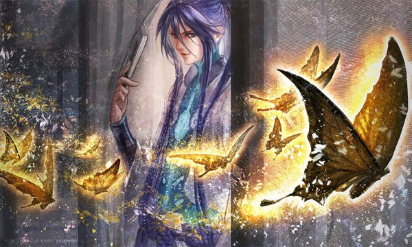Anime picture 1000x600 with vocaloid kamui gakupo yamakawa umi single long hair blue eyes wide image signed purple hair ponytail glowing boy insect butterfly curtains rope closed fan