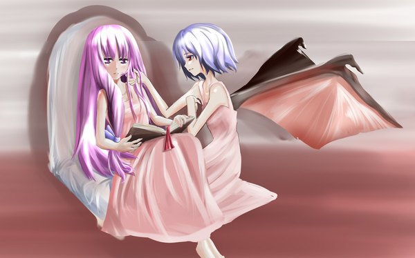 Anime picture 1024x639 with touhou remilia scarlet patchouli knowledge red eyes wide image multiple girls blue hair purple hair bat wings girl 2 girls wings book (books) kasaiji