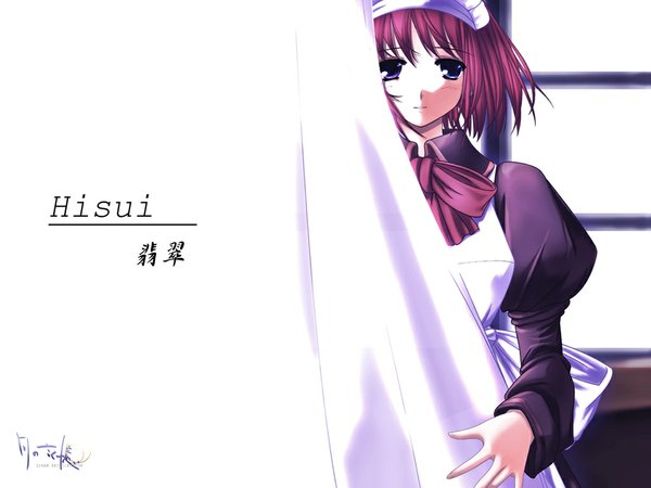 Anime picture 1024x768 with shingetsutan tsukihime type-moon hisui (tsukihime) tagme
