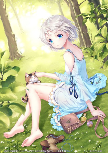 Anime picture 706x1000 with original paint musume single tall image looking at viewer short hair blue eyes sitting bare shoulders silver hair bent knee (knees) barefoot wind bare legs yokozuwari shoes removed girl dress flower (flowers) plant (plants)