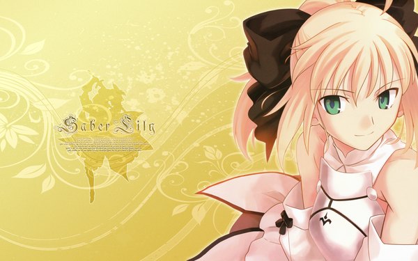 Anime picture 1920x1200 with fate (series) fate/stay night fate/unlimited codes studio deen type-moon artoria pendragon (all) saber saber lily highres wide image