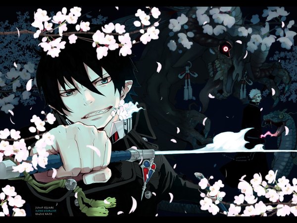 Anime picture 1600x1200 with ao no exorcist blue exorcist a-1 pictures okumura rin black hair cherry blossoms elf boy flower (flowers) sword monster snake