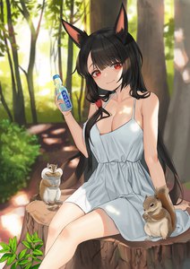 Anime picture 2480x3508