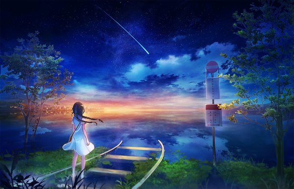 Anime picture 2000x1287 with original inz (pixiv) single long hair highres brown hair standing sky cloud (clouds) full body braid (braids) from behind night night sky twin braids shooting star girl dress plant (plants) tree (trees)