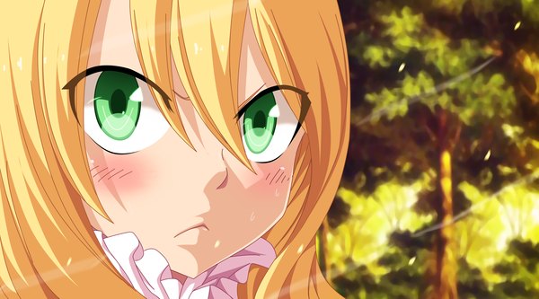 Anime picture 5400x3000 with fairy tail mavis vermillion khalilxpirates single long hair blush highres blonde hair wide image green eyes absurdres sunlight loli coloring close-up face sunbeam girl dress plant (plants)