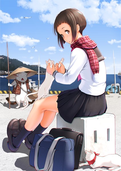 Anime picture 724x1023 with original nanahime (aoi) single tall image short hair black hair sitting brown eyes looking back girl skirt uniform animal socks serafuku scarf black socks cat red scarf plaid scarf