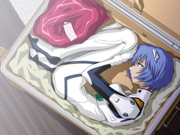 Anime picture 1280x960 with neon genesis evangelion gainax ayanami rei single short hair blue hair full body lying profile on side parody in container in box girl bodysuit pilot suit