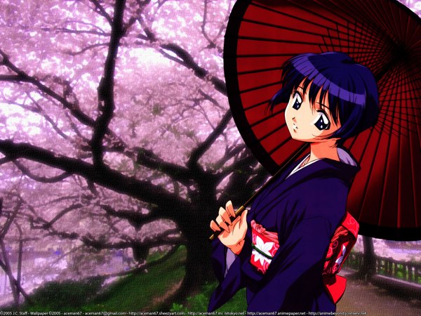 Anime picture 1600x1200 with ai yori aoshi j.c. staff sakuraba aoi single short hair purple eyes purple hair traditional clothes japanese clothes girl kimono umbrella obi oriental umbrella