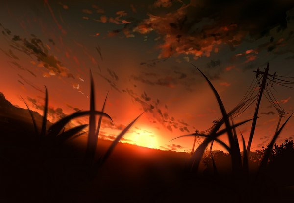 Anime picture 1012x700 with original akano sakura sky cloud (clouds) evening sunset landscape plant (plants) grass sun wire (wires) power lines