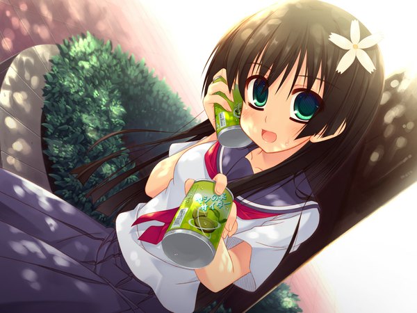 Anime picture 1024x768 with to aru kagaku no railgun j.c. staff saten ruiko tagme (artist) long hair blush open mouth brown hair sitting holding green eyes hair flower girl hair ornament plant (plants) tree (trees) serafuku soda