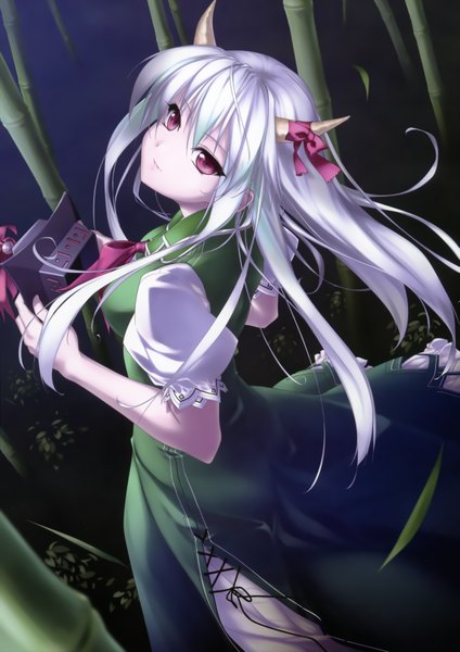 Anime picture 2373x3356 with touhou kamishirasawa keine ex-keine rokuwata tomoe single long hair tall image highres smile red eyes white hair horn (horns) girl dress ribbon (ribbons) plant (plants) bamboo