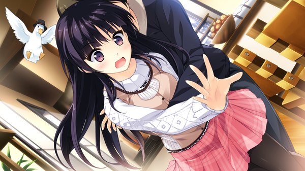 Anime picture 2560x1440 with kono oozora ni tsubasa wo hirogete habane kotori long hair blush highres open mouth black hair wide image purple eyes game cg couple girl boy skirt animal bird (birds) sweater