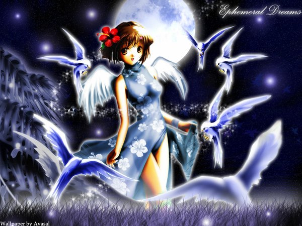 Anime picture 1024x768 with dizzy (guilty gear) wings tagme