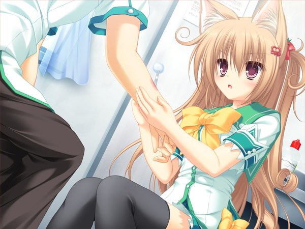 Anime picture 1600x1200 with neko koi! whirlpool (studio) ryuudou misaki mikagami mamizu long hair red eyes brown hair animal ears game cg cat ears girl thighhighs black thighhighs serafuku